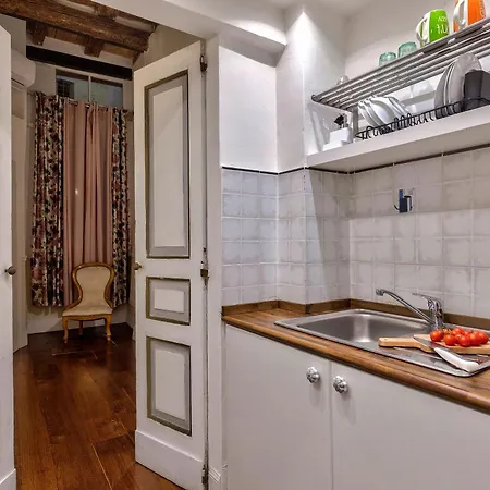 Santo Spirito Apartment Florence
